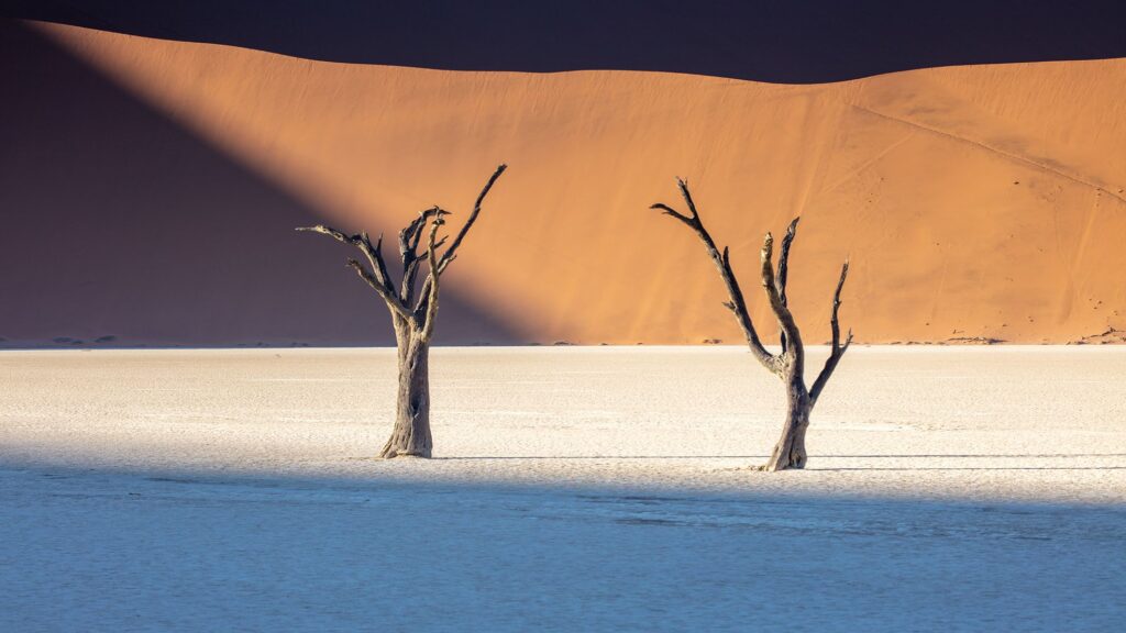10 landscape photography techniques that pros use for better results 10 landscape photography techniques that pros use for better results