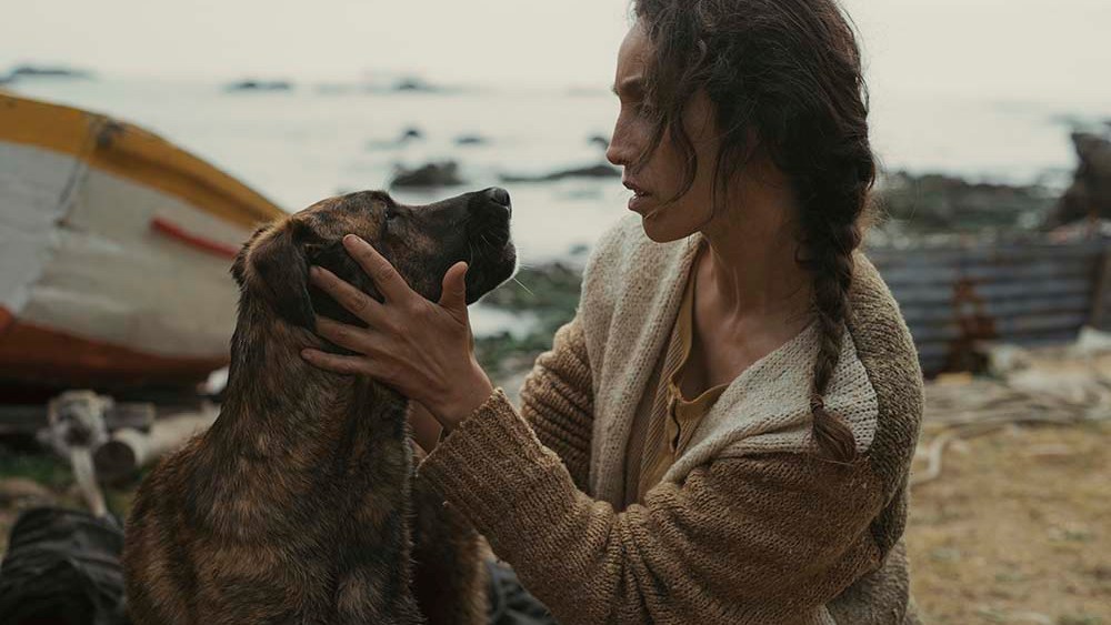 Cannes Palm Dog Award Goes to Yuri, Canine Star of Le Perra Cannes Palm Dog Award Goes to Yuri, Canine Star of Le Perra