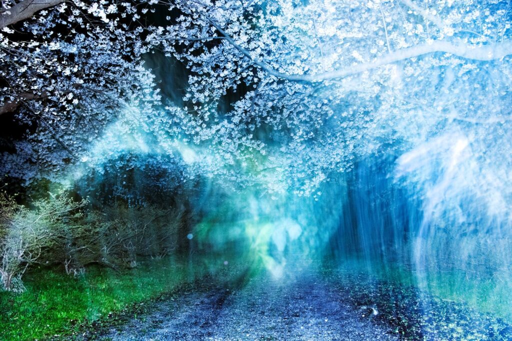 A dreamlike night landscape featuring a gravel path leading toward blooming cherry blossoms, obscured by ethereal blue and green light flares and motion blur.