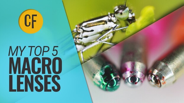 5 Best Macro Lenses You Can Buy Now 5 Best Macro Lenses You Can Buy Now