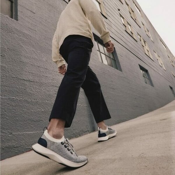 American Exchange Group, WSG Brands acquire Allbirds intellectual property American Exchange Group, WSG Brands acquire Allbirds intellectual property