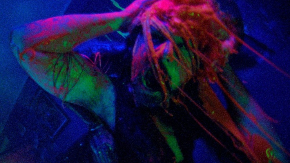 Argentine Spin-Off of Alien Horror Pic ‘Jimmy and Stiggs’ Set to Fly Argentine Spin-Off of Alien Horror Pic 'Jimmy and Stiggs' Set to Fly