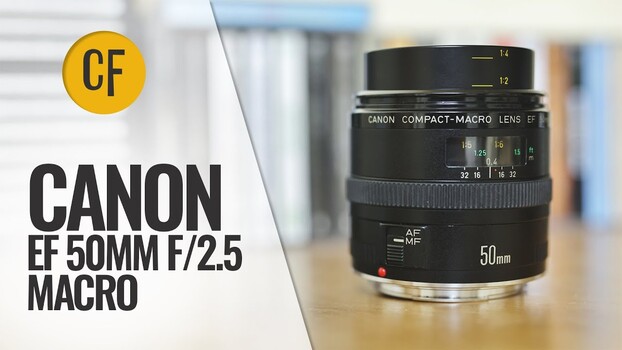 Canon EF 50mm f/2.5 Macro at 40: Still Worth Using? Canon EF 50mm f/2.5 Macro at 40: Still Worth Using?