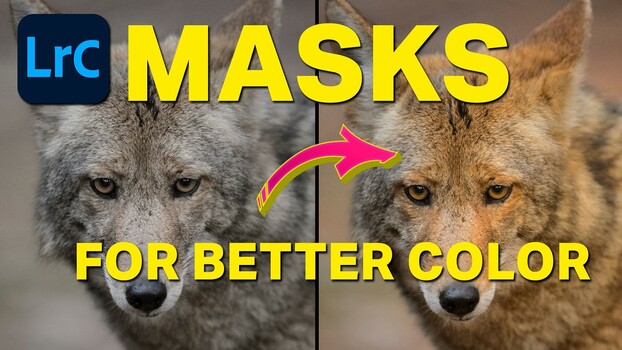 Color Masking in Lightroom Classic Color Masking in Lightroom Classic