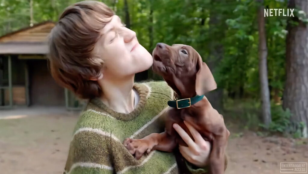 First Look at Live-Action Pup in ‘Scooby-Doo: Origins’ Series Teaser First Look at Live-Action Pup in 'Scooby-Doo: Origins' Series Teaser