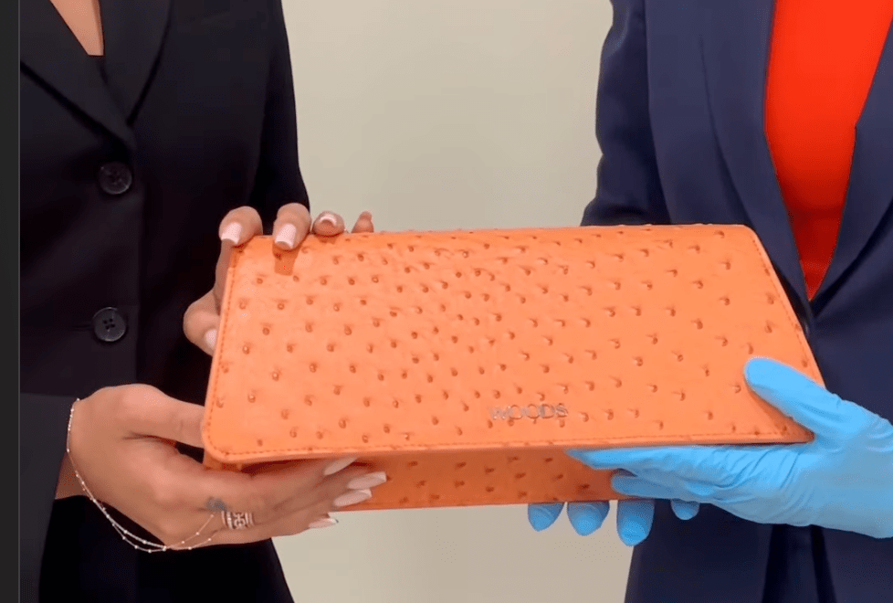 Jordyn Brooks’s ‘Lucky’ Orange Knicks Handbag at Guggenheim Museum Two set of hands hold an orange handbag.