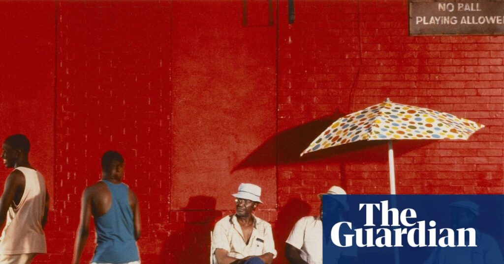 Sizzle reels: nine films to watch in a heatwave | Movies