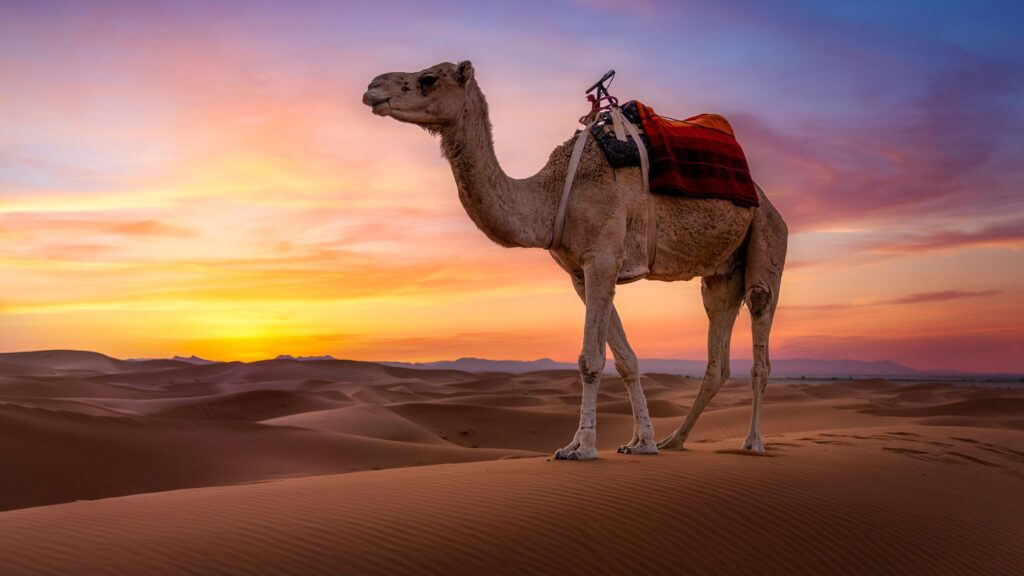 Want to shoot stunning shots like this? Here’s how to photograph stunning sandscapes on your travels Want to shoot stunning shots like this? Here's how to photograph stunning sandscapes on your travels