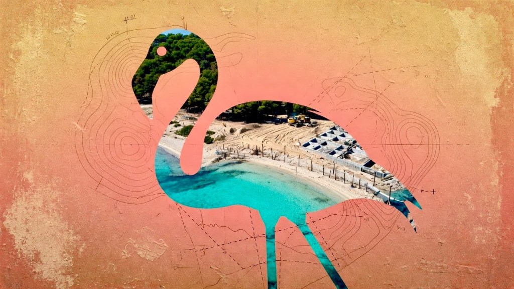 What Albania’s Flamingo Revolution Tells Us About Sovereign Capital’s Coastline Problem What Albania's Flamingo Revolution Tells Us About Sovereign Capital's Coastline Problem