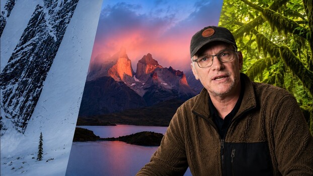 Why Local Forests Beat Epic Landscapes Why Local Forests Beat Epic Landscapes