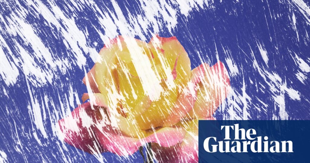 A grief therapist told me I should live to honor my son. How would I do that? | Autobiography and memoir
