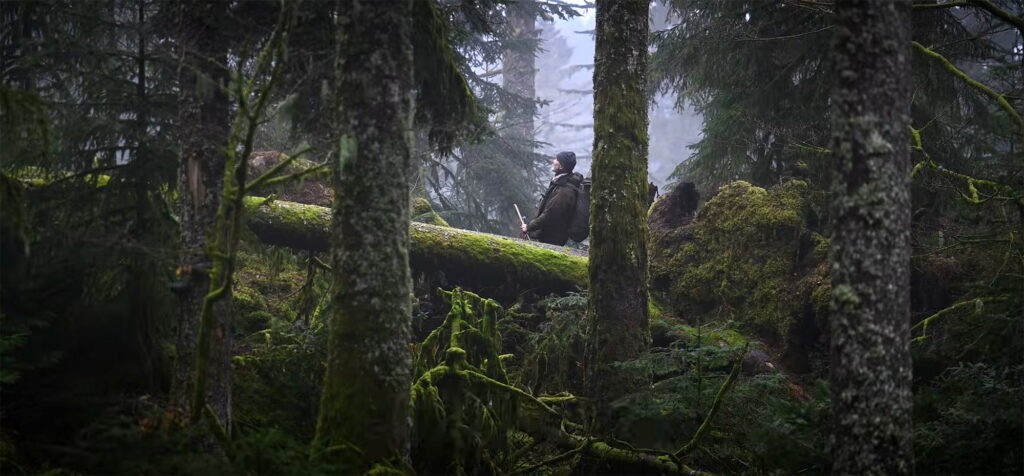 Enchanting Trailer for ‘Whispers in the Woods’ Doc About Wild Forests Enchanting Trailer for 'Whispers in the Woods' Doc About Wild Forests