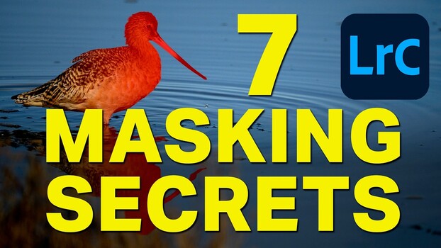 Lightroom Intersect Mask: Wildlife Editing Precision Lightroom Intersect Mask: Wildlife Editing Precision