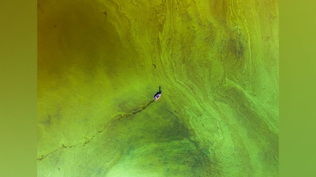 This award-winning drone photo juxtaposes the small scale of humans against our “massive impact” on the environment This award-winning drone photo juxtaposes the small scale of humans against our “massive impact” on the environment