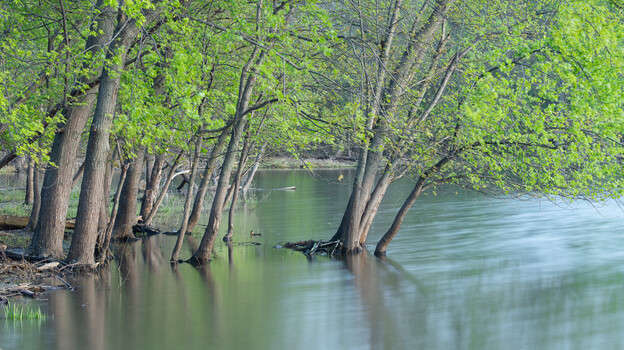 Why Over-Planning Ruins Landscape Photography Why Over-Planning Ruins Landscape Photography