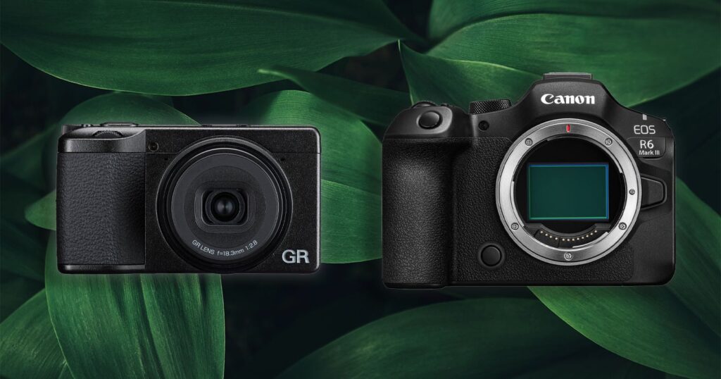 Japanese Government Says the Digital Camera Industry Is In Recovery Two black digital cameras, one compact and one larger DSLR, are displayed side by side against a background of large green leaves. The compact camera is on the left, and the larger camera with no lens is on the right.