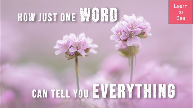One Word That Reveals Whether Your Photo Works One Word That Reveals Whether Your Photo Works