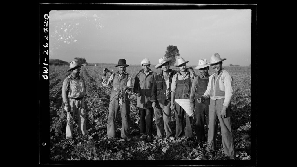 These 20th century photos of Mexican workers being rounded up and sent back highlight how mass deportations from the USA are nothing new These 20th century photos of Mexican workers being rounded up and sent back highlight how mass deportations from the USA are nothing new