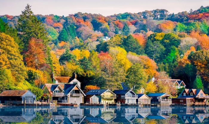 WHERE TO GO WHEN THE LEAVES TURN | News WHERE TO GO WHEN THE LEAVES TURN | News