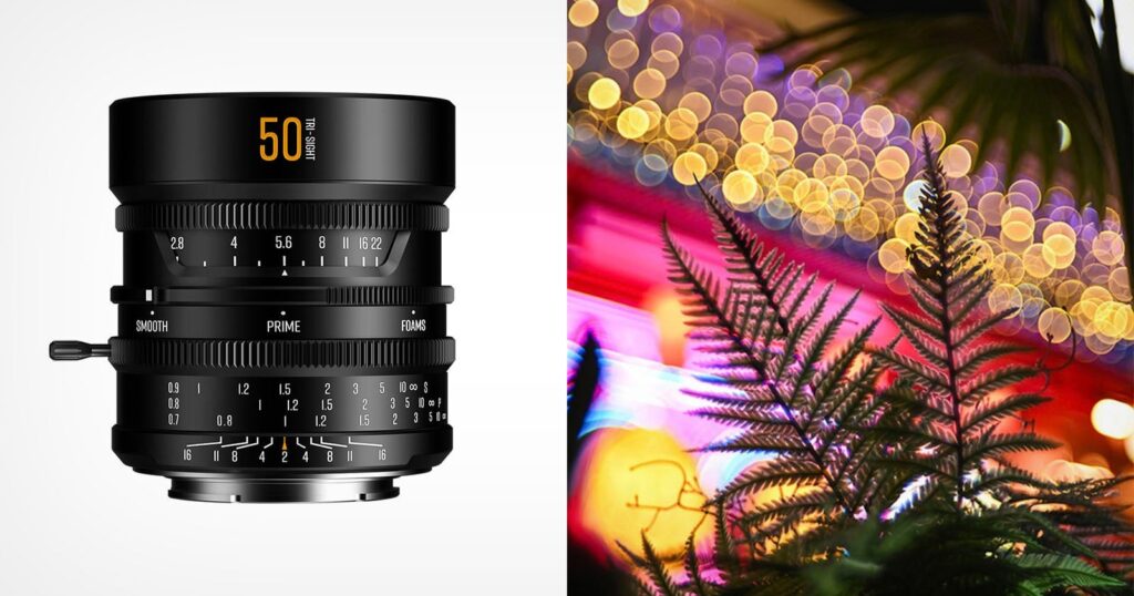 A black camera lens with a focus lever and aperture markings sits next to a close-up photograph of a fern with blurred, glowing bokeh lights in the background.