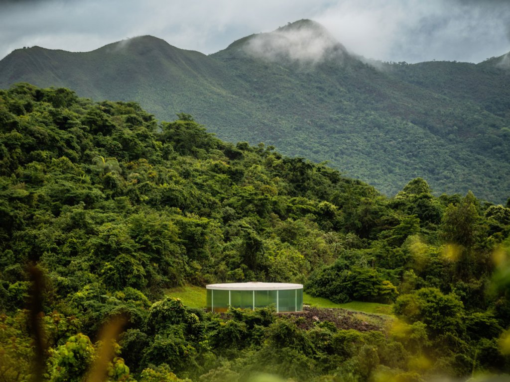 Brazil’s Inhotim Marks 20 Years and Looks to Future Beyond Its Founder Brazil’s Inhotim Marks 20 Years and Looks to Future Beyond Its Founder