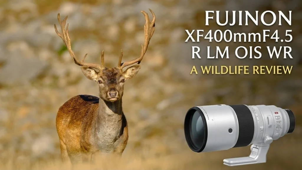 Watch A Wildlife Review - Fujifilm 400mm F4.5 R LM OIS WR on YouTube.