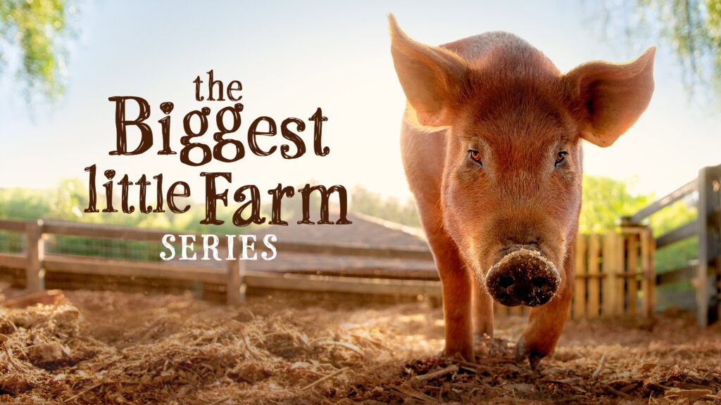 Fun Trailer for 'The Biggest Little Farm' Series About Farms & Animals