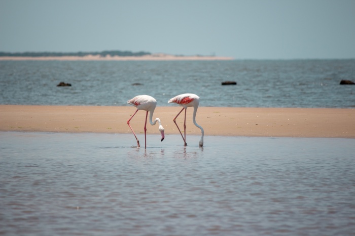 Mozambique Sets Its Sights on UK Travellers as Tourism Grows Ahead of 2027 | News Mozambique Sets Its Sights on UK Travellers as Tourism Grows Ahead of 2027 | News