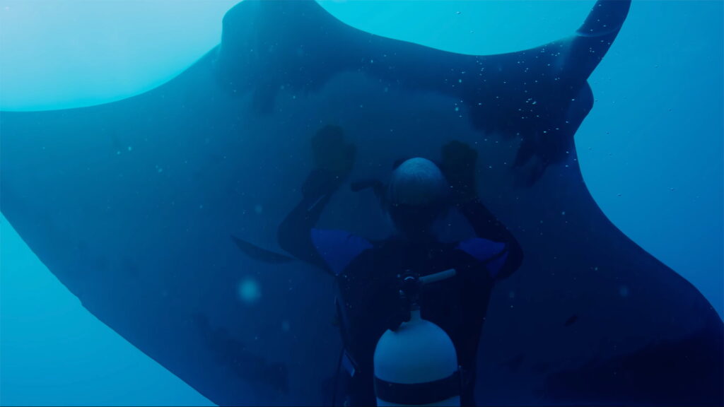 Official Trailer for ‘The Last Dive’ Doc About Befriending a Manta Ray Official Trailer for 'The Last Dive' Doc About Befriending a Manta Ray