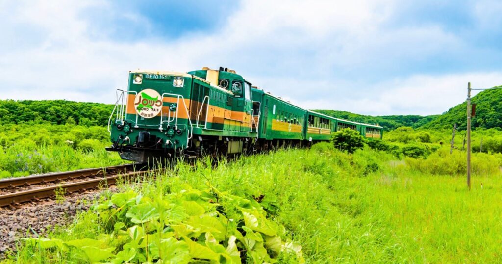 Photographer Arrested After Taking Chainsaw to Trees In Search of a Better Train Photo A green and yellow Norokko train travels along tracks through a lush, grassy landscape under a cloudy sky.