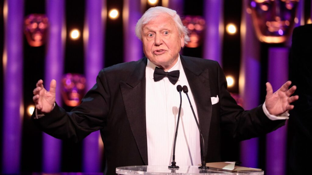 The BBC including “more organic” video footage in David Attenborough wildife documentary to stave off gen AI claims is like letting a bully run the playground